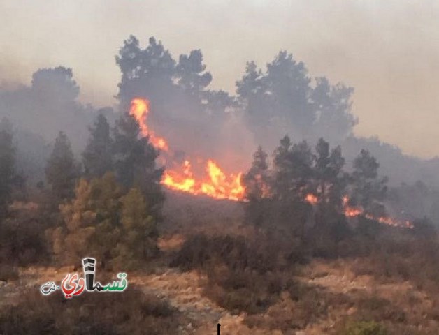    فيديو: انتبهوا ..  توسع دائرة الحريق في احراش نريت واورانيت وقوات كبيرة تصل الى مكان الحادث 